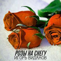 Игорь Виданов