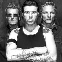 The Cult