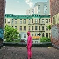 PINK GUY