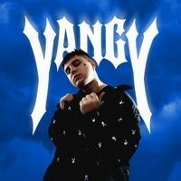 Yangy