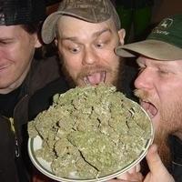 Weedeater