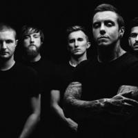 Heart of a Coward