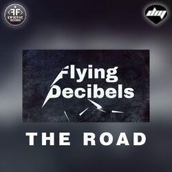 Flying Decibels
