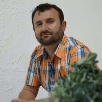 Саши Заифи