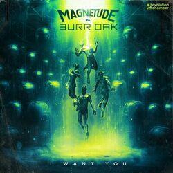 Magnetude
