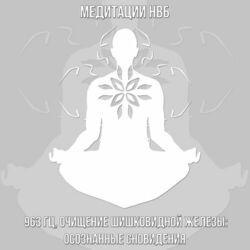 Медитации НВБ