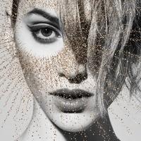 Betta Lemme
