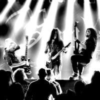 Vreid