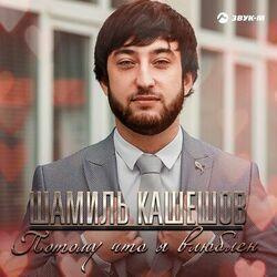 Шамиль Кашешов