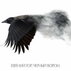 Евгений Гор