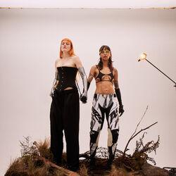 Icona Pop