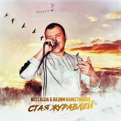 Вадим Наместников