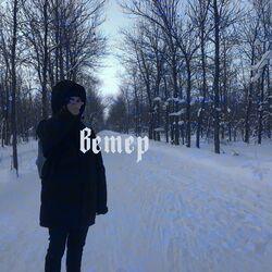 Семьсот семь