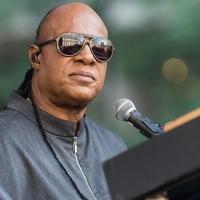 Stevie Wonder