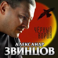 Александр Звинцов