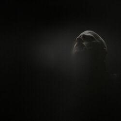 Wardruna
