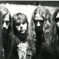 Jungle Rot