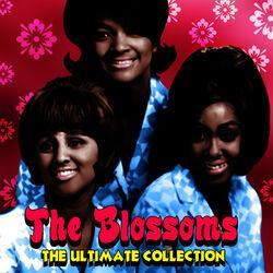 The Blossoms