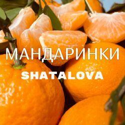 Shatalova