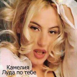 Камелия