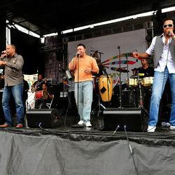 Oro Solido