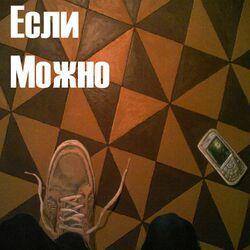 Если можно