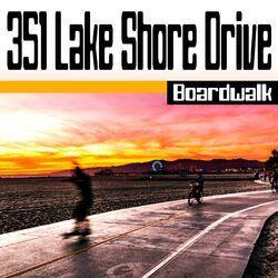 351 Lake Shore Drive