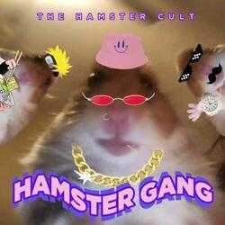 The Hamster Cult