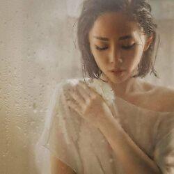 Toc Tien