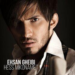 Ehsan Gheibi