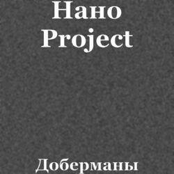 Нано Project