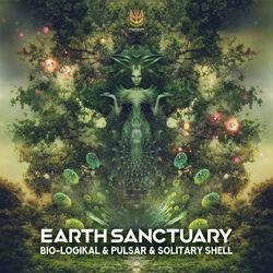 Solitary Shell