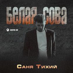 Саня Тихий
