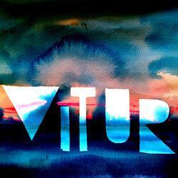 Vitur