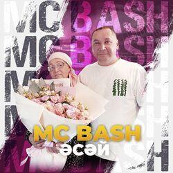 Mc Bash