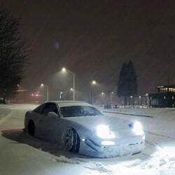 POLARMANE