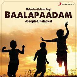 Joseph J. Palackal