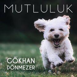 Gökhan Dönmezer