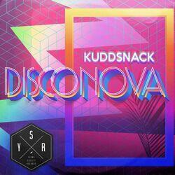 Kuddsnack
