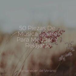 Piano Suave Relajante
