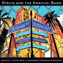 Stevie and the Amayumi Band