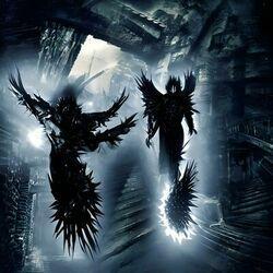 Weeping Wi11ow