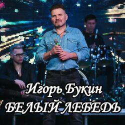 Игорь Букин
