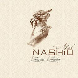 Adel Nashid
