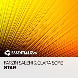 Farzin Salehi