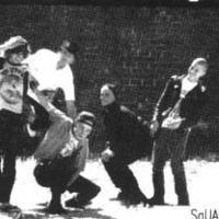 Operation Ivy