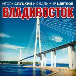 Владимир Цветков