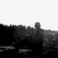 Forest of Shadows
