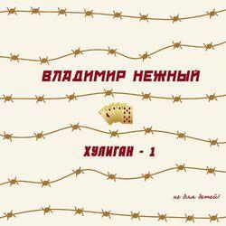 Владимир Нежный