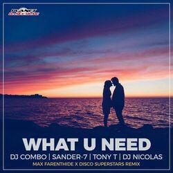 Sander-7